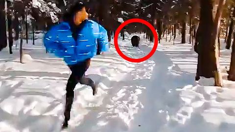 Bär hetzt Mann durch Wald – ist das unglaubliche Viral-Video ein Fake?