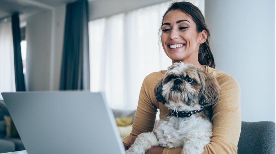 Frau sitzt mit ihrem Hund am PC