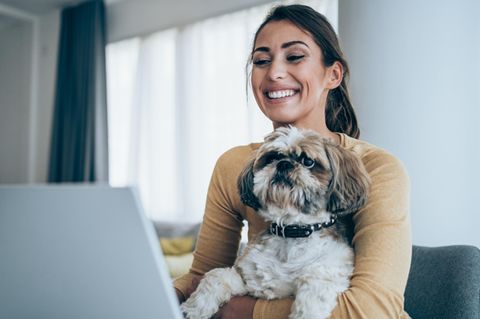Frau sitzt mit ihrem Hund am PC