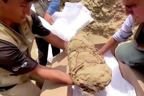 1000 Jahre alter Fund: Forscher entdecken 14 Mumien – offenbar der geopferte Hofstaat eines historischen Promis