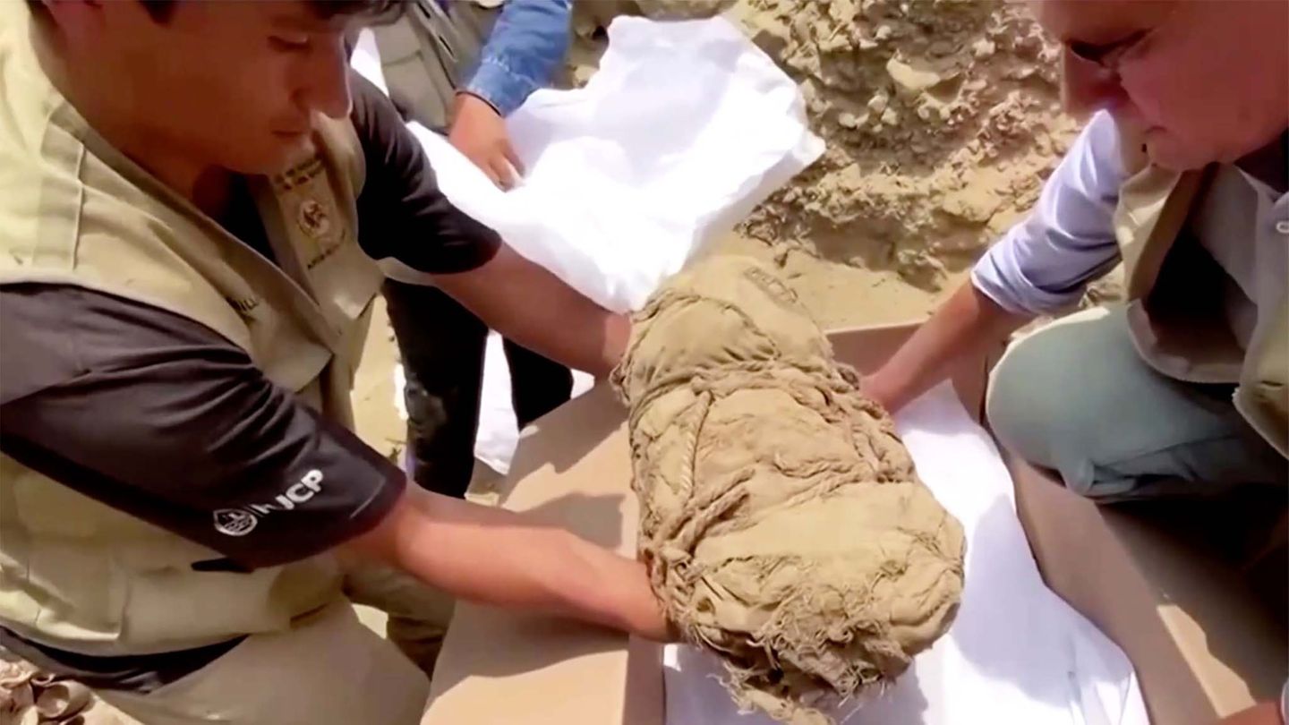 Researchers discover 14 mummies – sacrificed court of a great celebrity?  (Video)