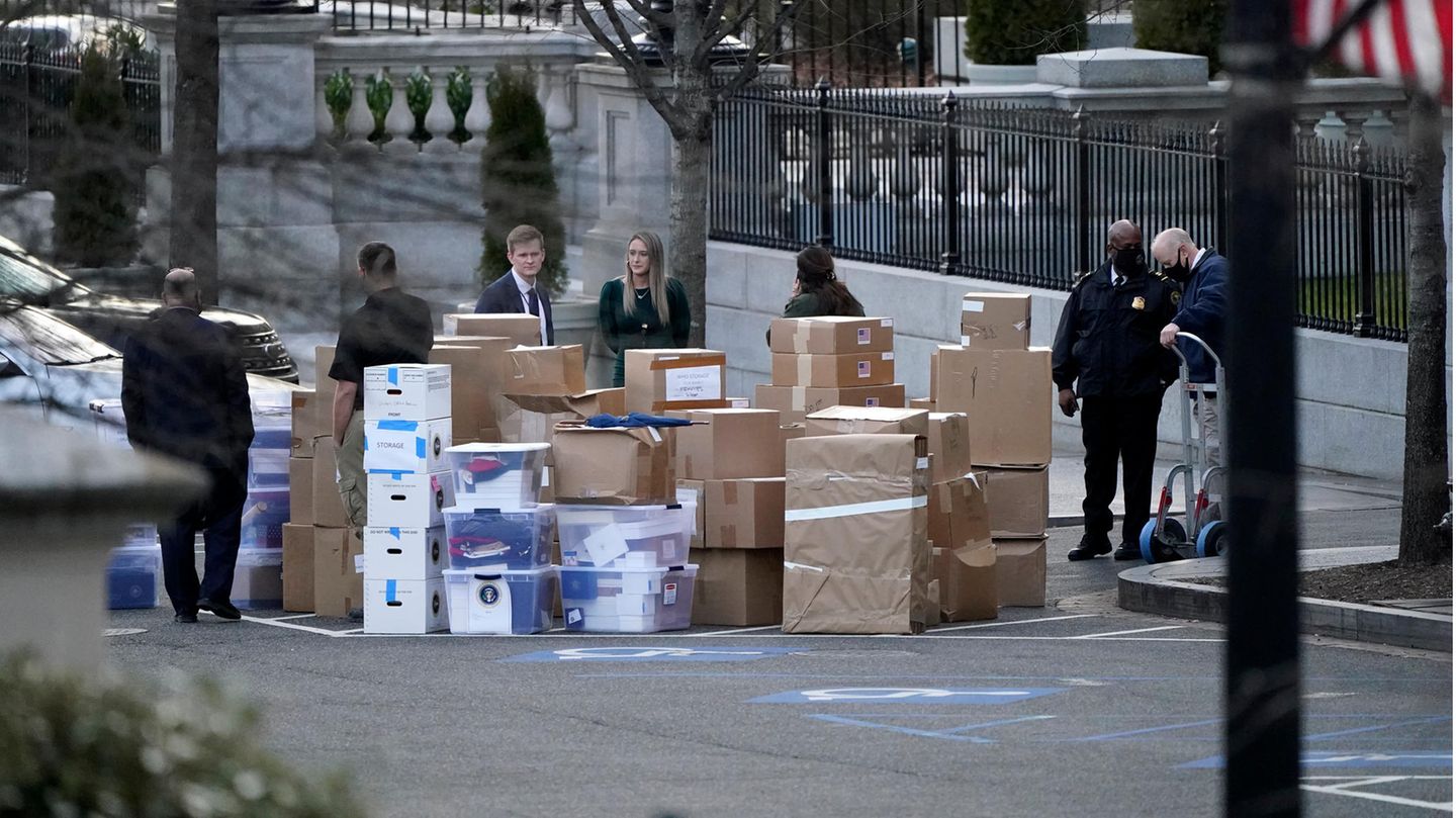 Donald Trump Boxen