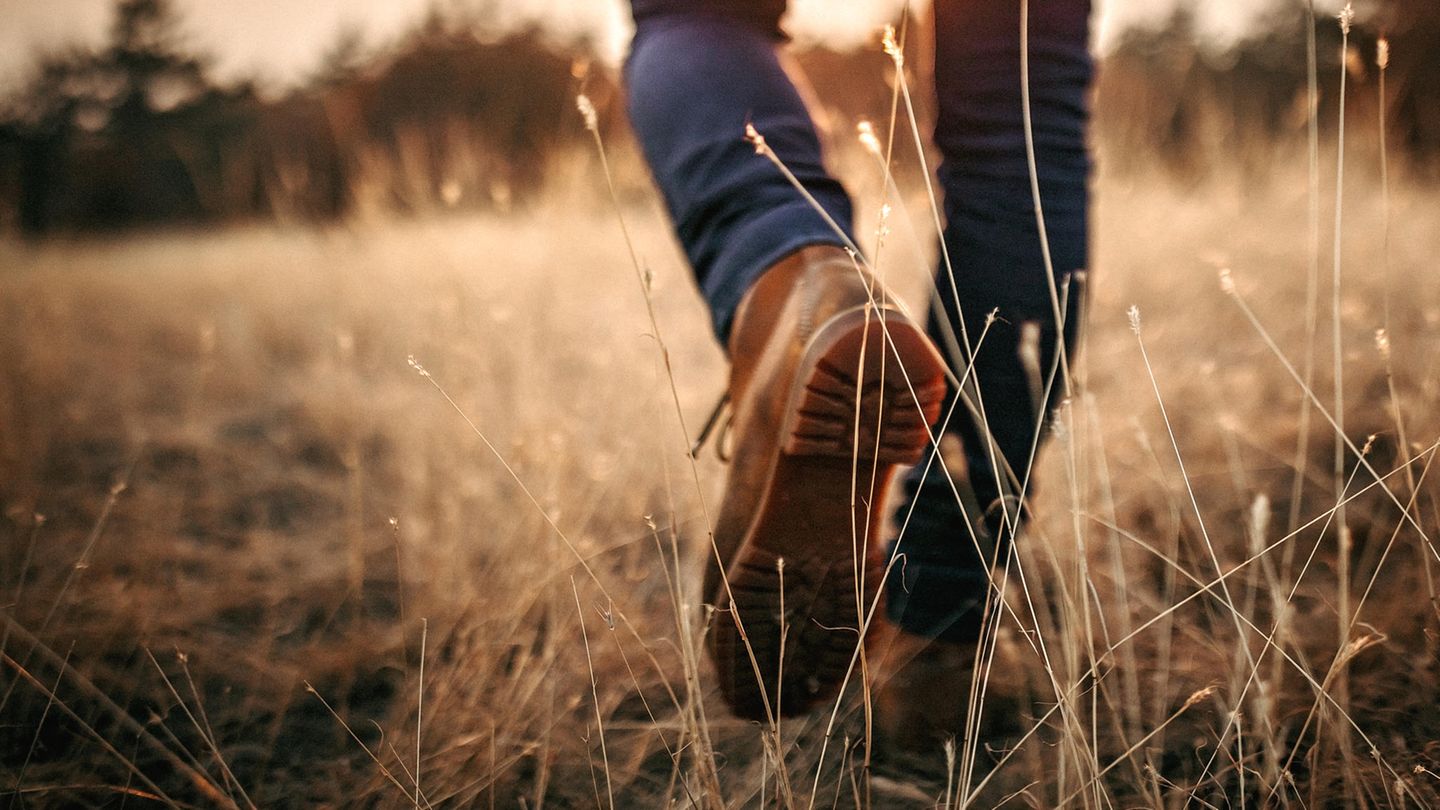 Wanderschuhe im Abendlicht laufen über eine Wiese