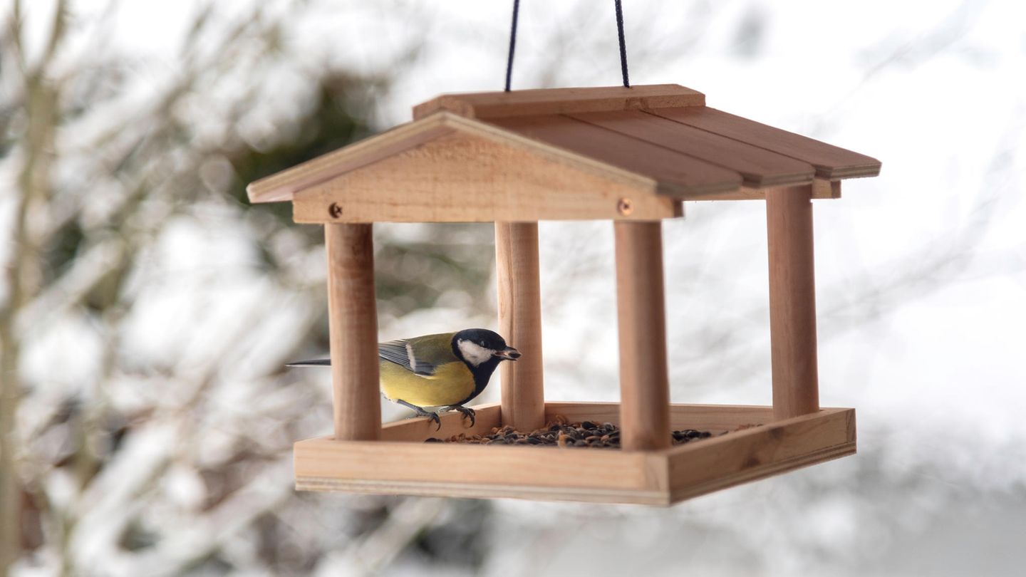 Ein Vogelhaus dient Vögeln als Futterstation