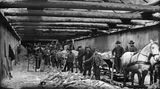 Männer mit Schaufeln und einem Pferd schauen beim Bau der Teilstrecke der Berliner U-Bahn im Jahr 1901 in die Kamera