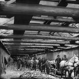 Männer mit Schaufeln und einem Pferd schauen beim Bau der Teilstrecke der Berliner U-Bahn im Jahr 1901 in die Kamera