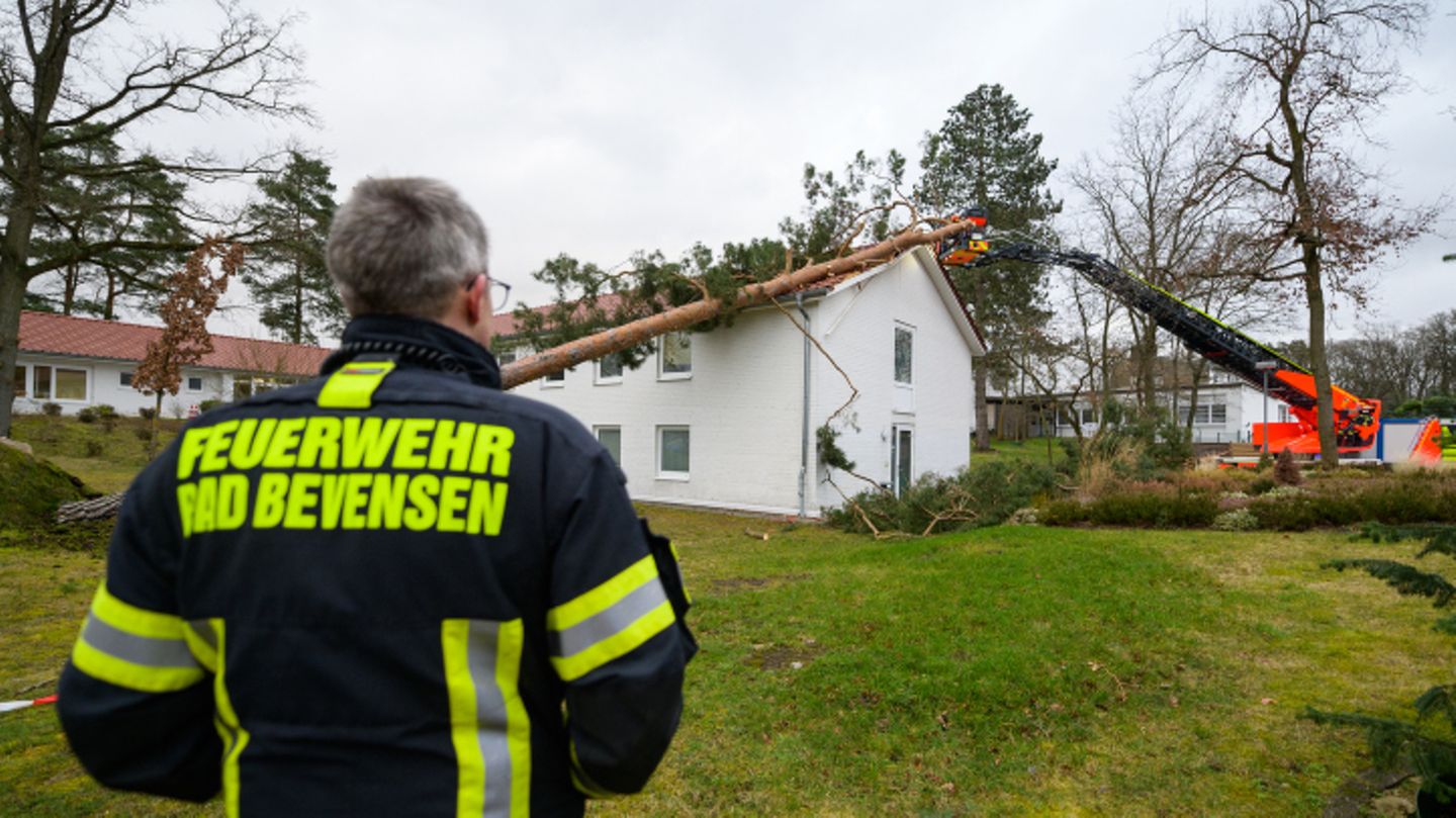 Einsatzkräfte der Freiwilligen Feuerwehr beseitigen über eine Drehleiter einen Baum, der auf einem Gebäude liegt.