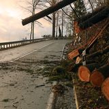 Baumstämme liegen auf einer Fahrbahn bei Schierke.