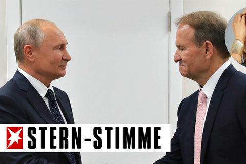 Sogenannte "Big Men" bestimmen die Weltpolitik. Aber gibt es  solcheAlphatiere auch in Deutschland?