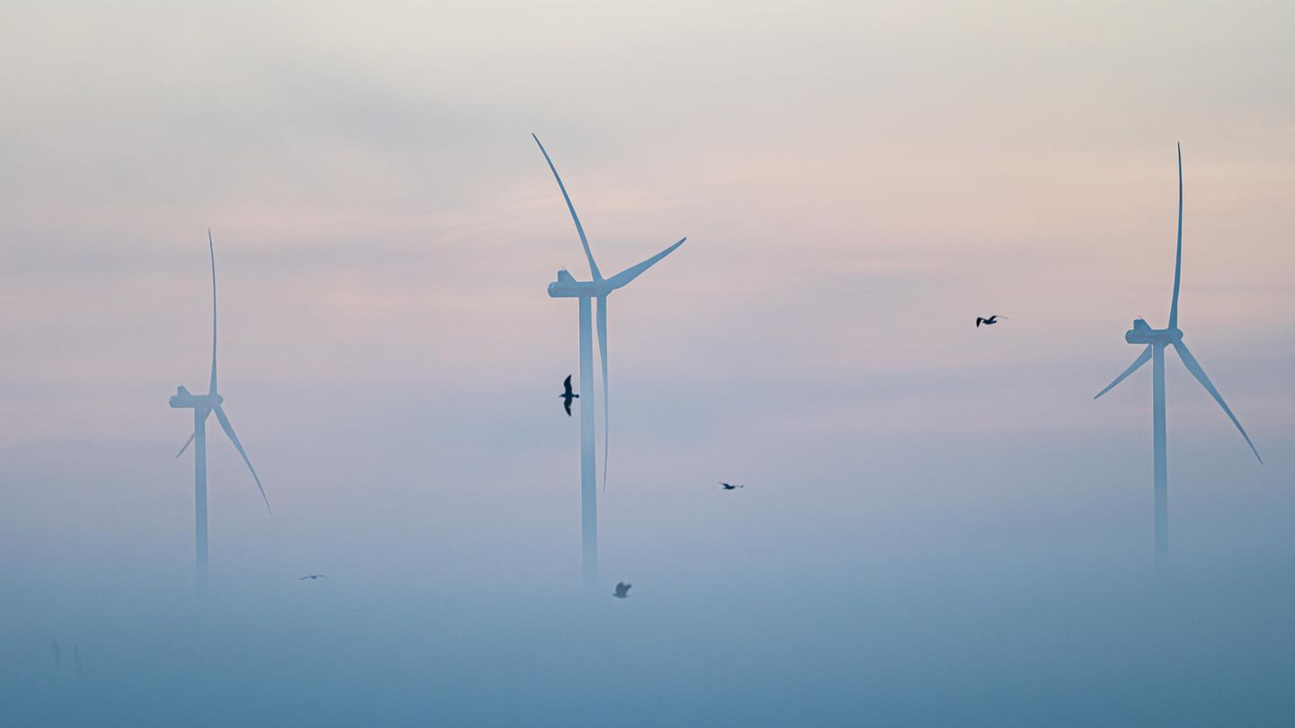 Vögel fliegen am frühen Morgen im Nebel vor Windrädern entlang