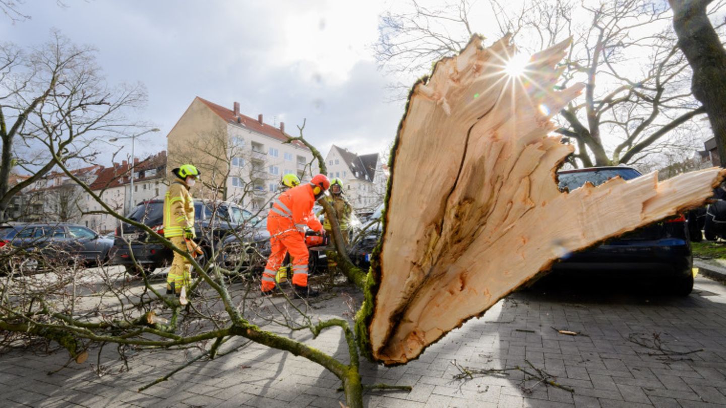 Einsatzkräfte der Feuerwehr befreien Autos von Ästen