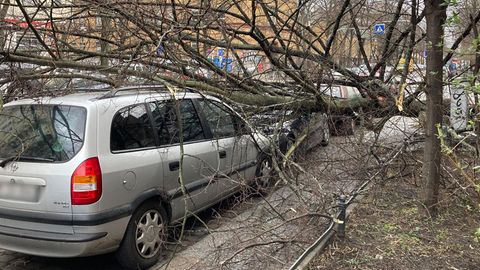 Berlin: Ein Baum ist im Kreuzberg umgestürzt und auf ein Auto gefallen.
