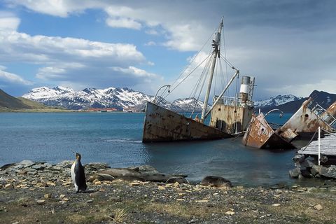 Walfangstation Grytviken in Südgeorgien