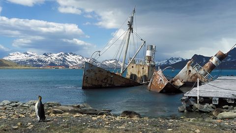 Walfangstation Grytviken in Südgeorgien