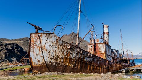 Walfangschiff Petrel