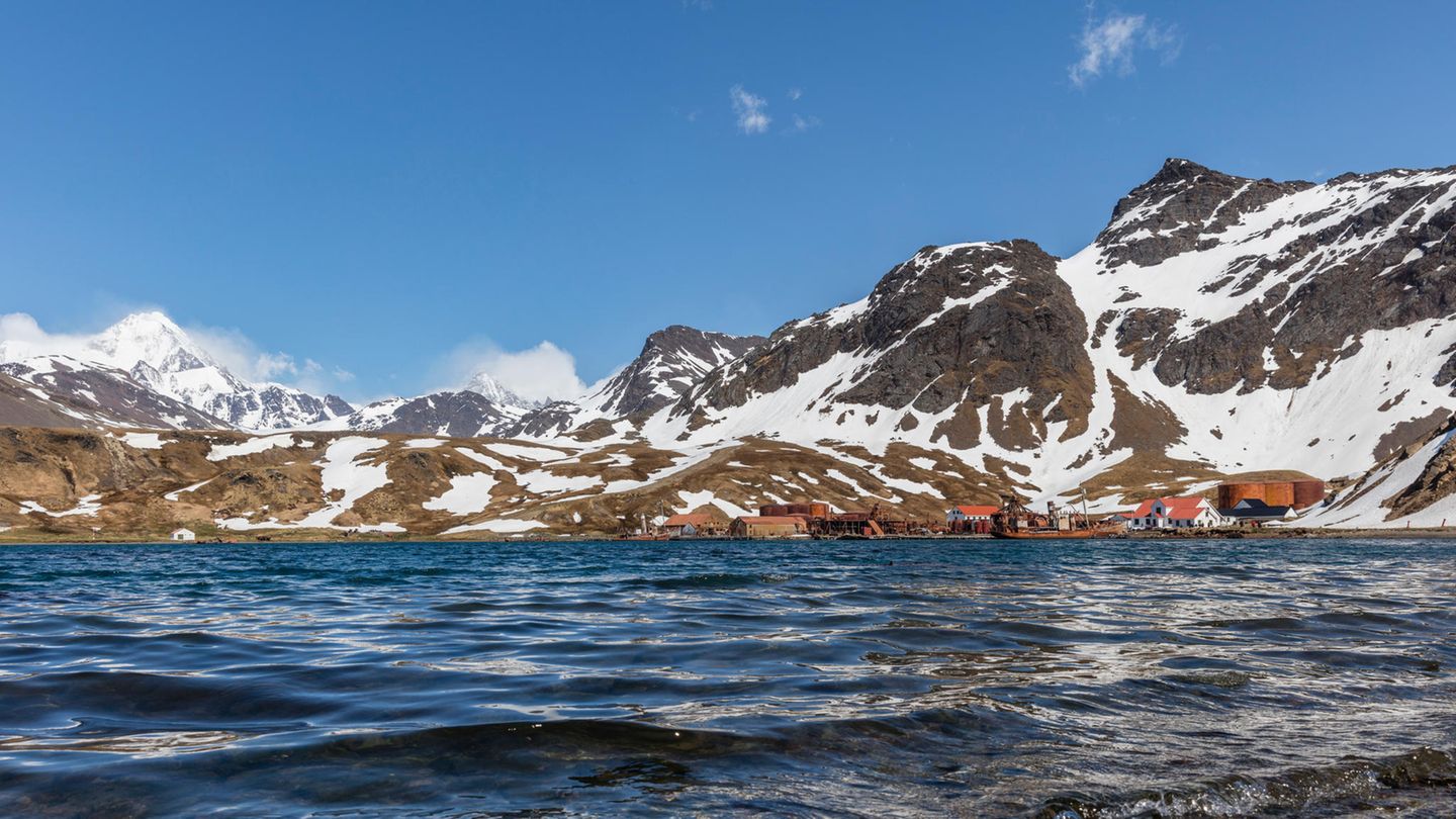 Walfangstation Grytviken in Südgeorgien