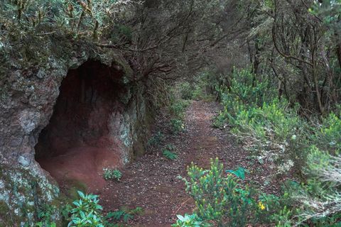 Eine Höhle auf der Insel Teneriffa, die zu Spanien gehört