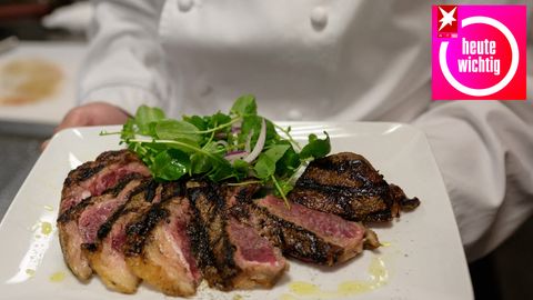 Auf einem weißen, quadratischen Teller liegt ein in Scheiben geschnittenes Steak mit grünem Salat dekoriert