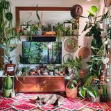 Bernd Reichlers Wohnzimmer