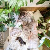 Bernd Reichler Schlafzimmer