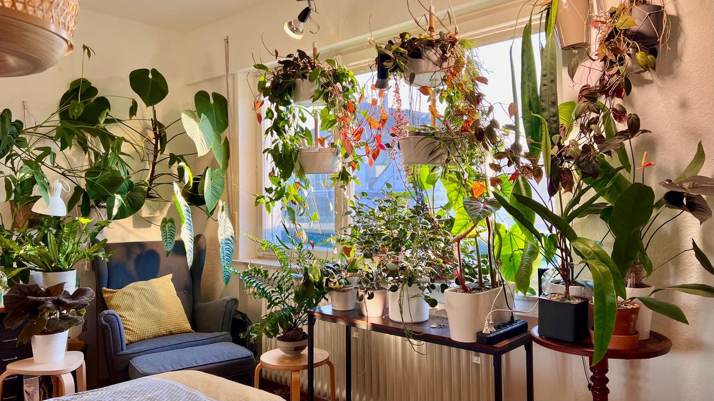 Kevins Wohnzimmer Kevins Wohnzimmer