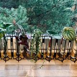 Hannah Broeg Reagenzgläser