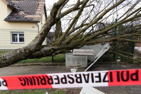 Ein vom Sturm umgerissener Baum ist auf einen Stromkasten gefallen und hat diesen komplett zerstört.