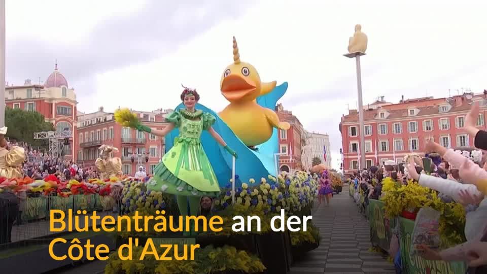 Video: Nizza blüht auf Video: Nizza blüht auf