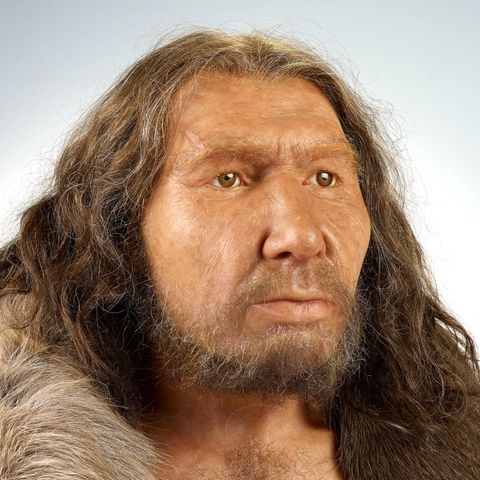 Porträt eines männlichen Neandertalers.