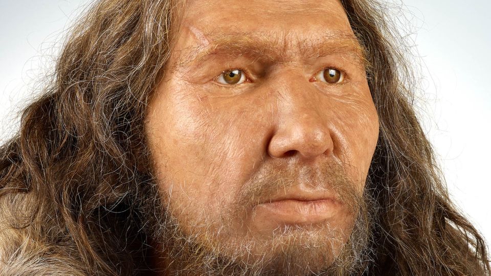 Porträt eines männlichen Neandertalers.