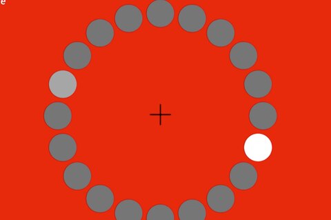 Optische Täuschung: Schaffen Sie es dem weißen Punkt nicht zu folgen?