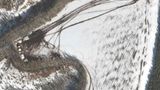Ein weiteres Satellitenfoto aus der Nähe von Belgorod. Es soll einen Einsatz entlang einer Baumgrenze zeigen.