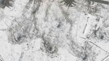 Dieses Satellitenbild soll eine nähere Ansicht eines Hubschraubereinsatzes zeigen