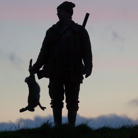 Mann mit erlegtem Hase im Gegenlicht