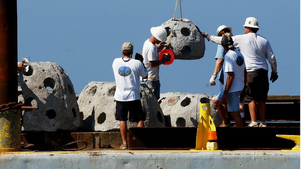 Am Golf von Mexiko bereiten Arbeiter im Namen von Eternal Reefs ein Korallenriff vor