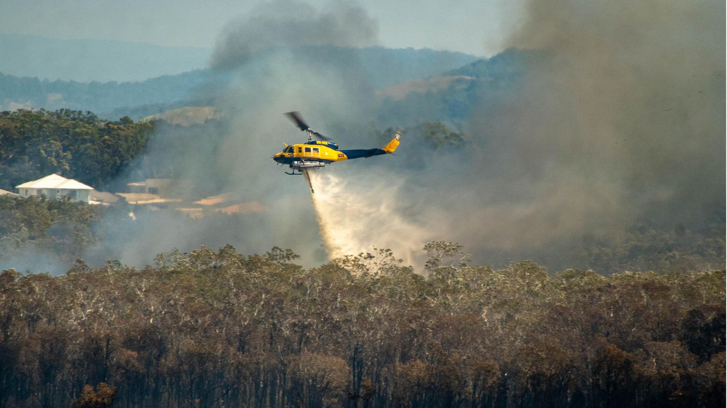 Ein Hubschrauber löscht ein Feuer im Wald von Australien
