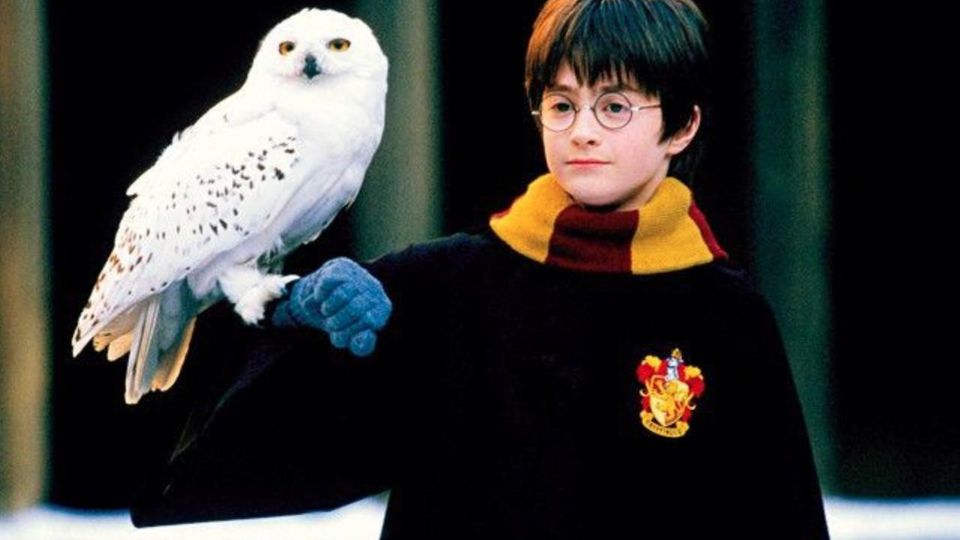 Harry Potter hat seine Eule Hedwig auf dem Arm sitzen