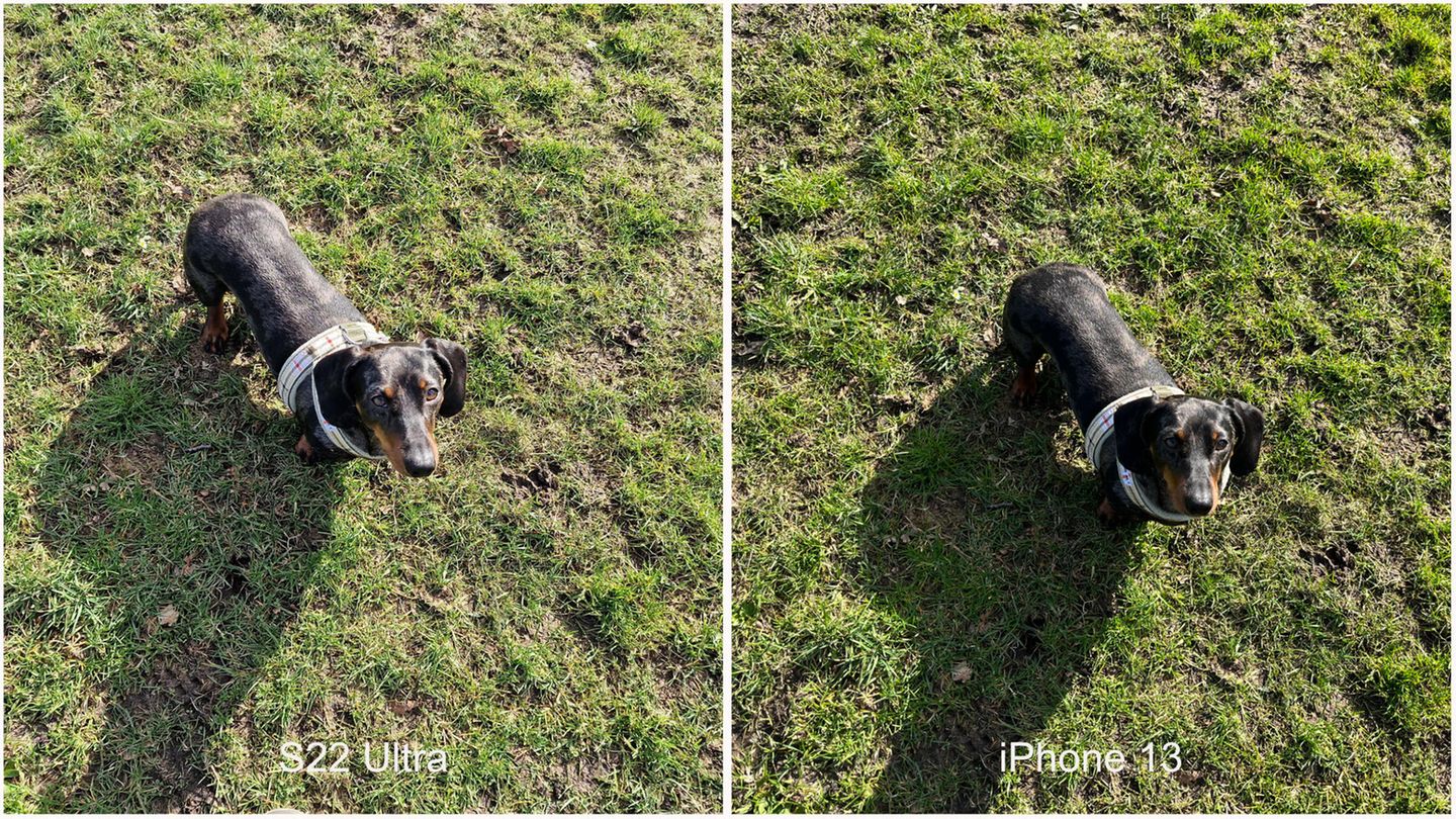 Schatten Samsung Galaxy S22 Ultra und iPhone 13