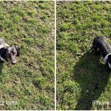 Schatten Samsung Galaxy S22 Ultra und iPhone 13