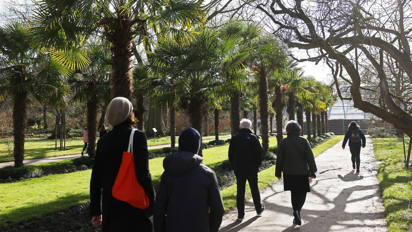 Spaziergänger gehen bei schönem Wetter durch die Flora, den Botanische Garten der Stadt Köln
