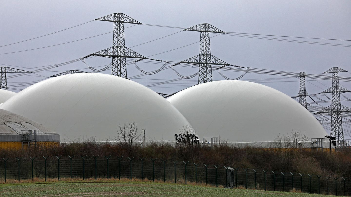 Natural gas: Scholz announces rapid construction of LNG terminals in Germany
