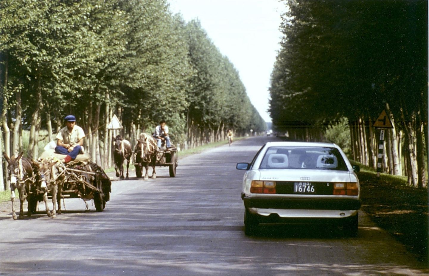 Audi 100 C3 Typ 44