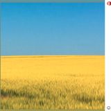 Instagram-Posting Uwe Ochsenknecht