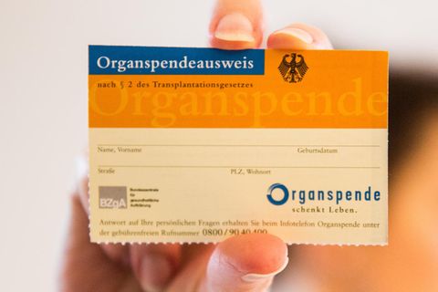 Eine Frau hält einen Organspendeausweis in den Händen
