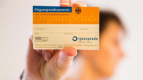 Eine Frau hält einen Organspendeausweis in den Händen