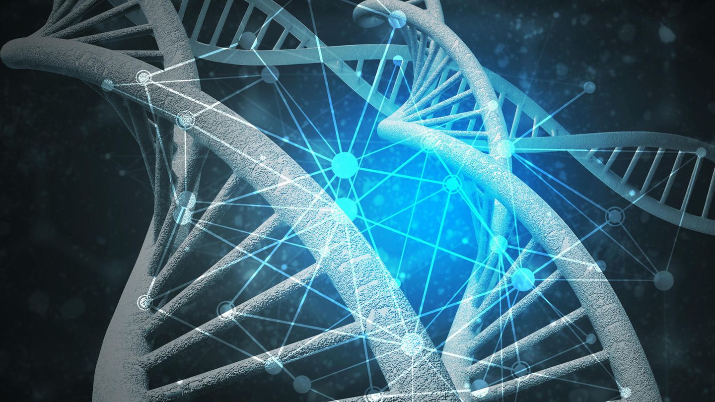 Forschende haben mithilfe von Gentechnik den größten jemals erstellten menschlichen Stammbaum erstellt. 3D-Bild von DNA