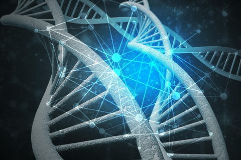 3D-Bild von DNA