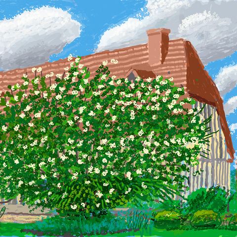David Hockney