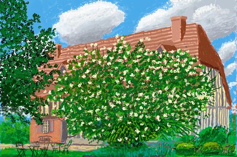 David Hockney