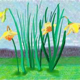 David Hockney
